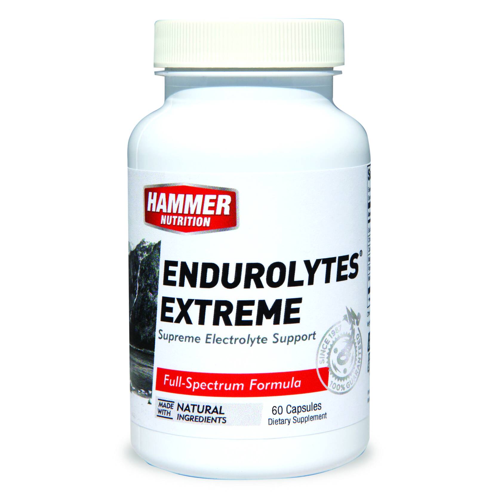 Hammer Nutrition Endurolytes Extreme Tablets