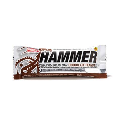 Hammer Nutrition Vegan Protein Recovery Bar